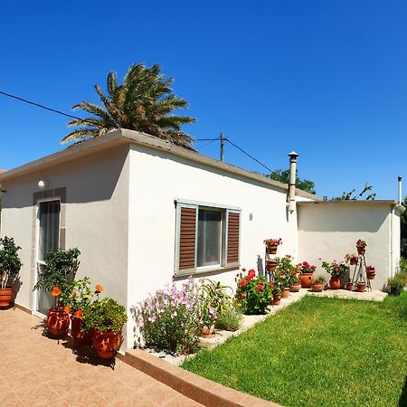 Repanidi Apartment D / Ρεπανίδι Διαμέρισμα Δ Repanidhion ภายนอก รูปภาพ