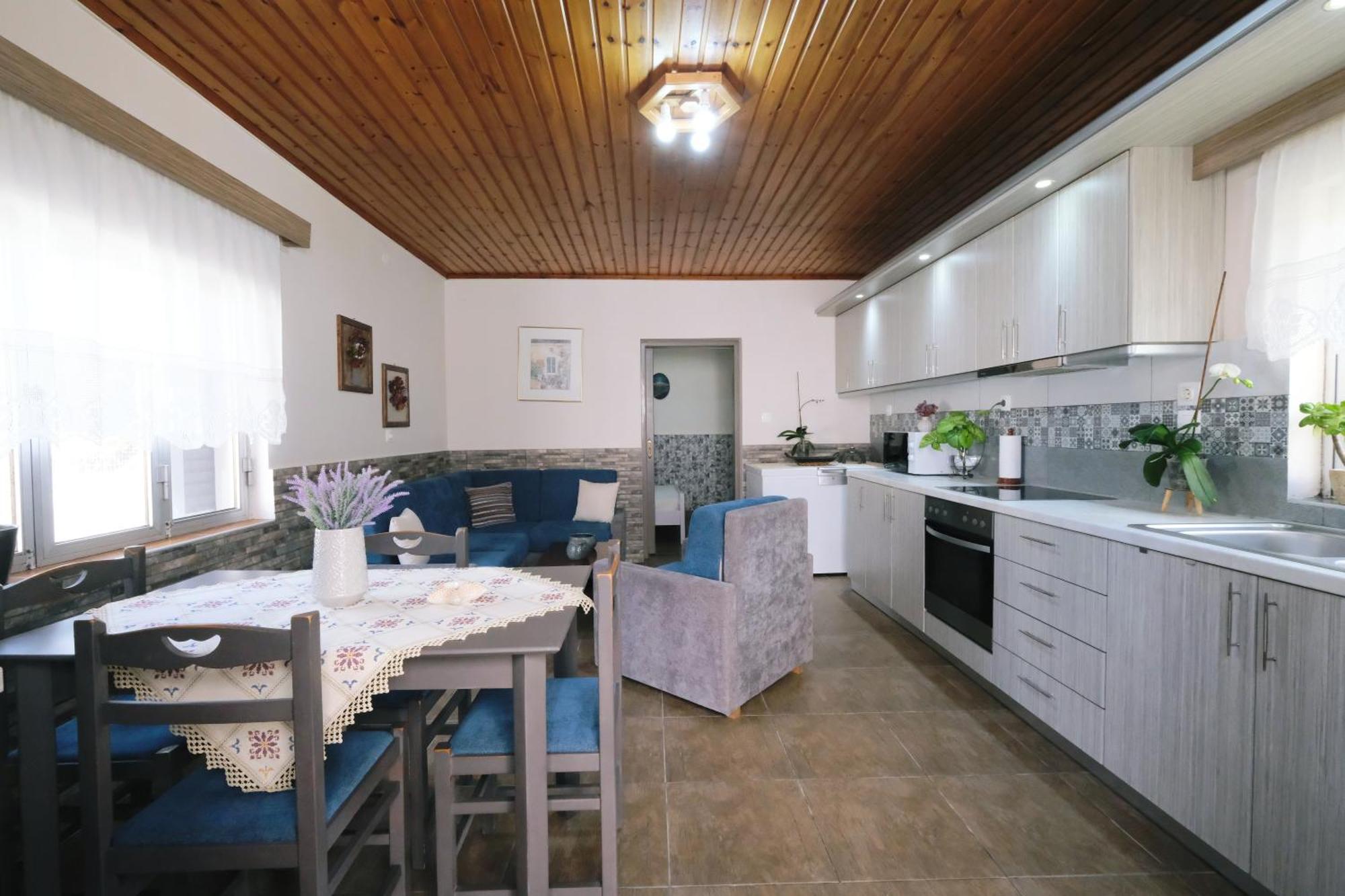 Repanidi Apartment D / Ρεπανίδι Διαμέρισμα Δ Repanidhion ภายนอก รูปภาพ