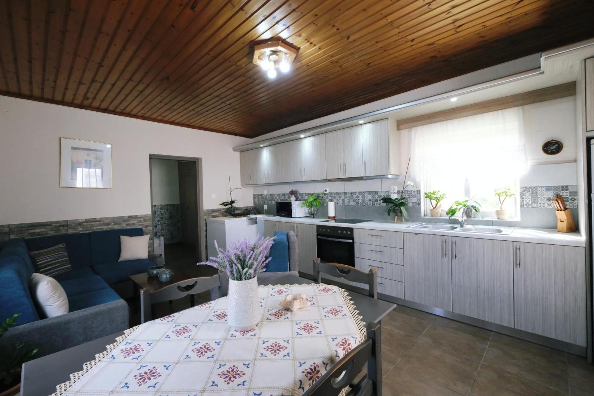 Repanidi Apartment D / Ρεπανίδι Διαμέρισμα Δ Repanidhion ภายนอก รูปภาพ