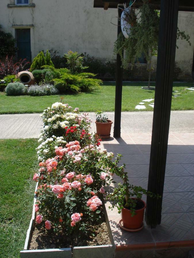 Repanidi Apartment D / Ρεπανίδι Διαμέρισμα Δ Repanidhion ภายนอก รูปภาพ